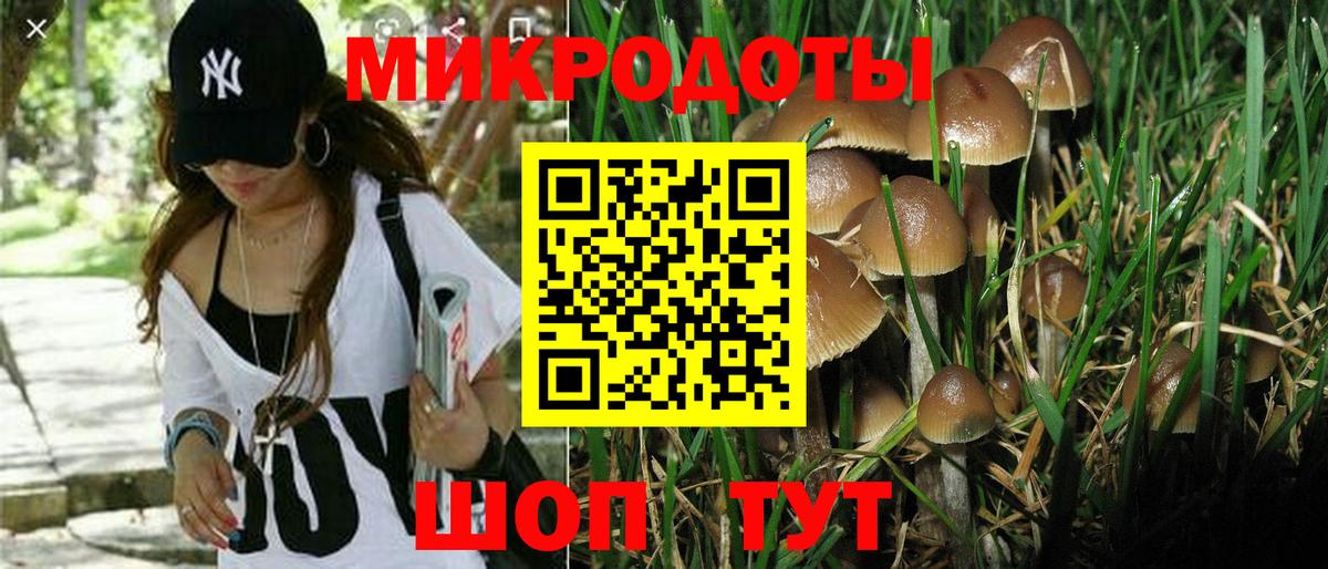 Галлюциногенные грибы GOLDEN TEACHER Новокубанск