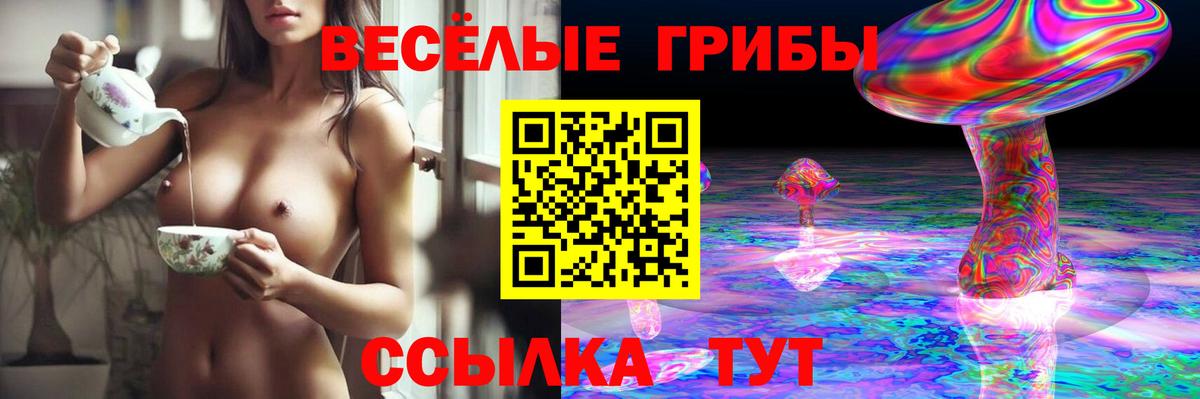 Новокубанск  Псилоцибиновые грибы Magic Shrooms  Вход с VPN 